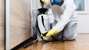 Best Pest Prevention Services  in Castroville, TX